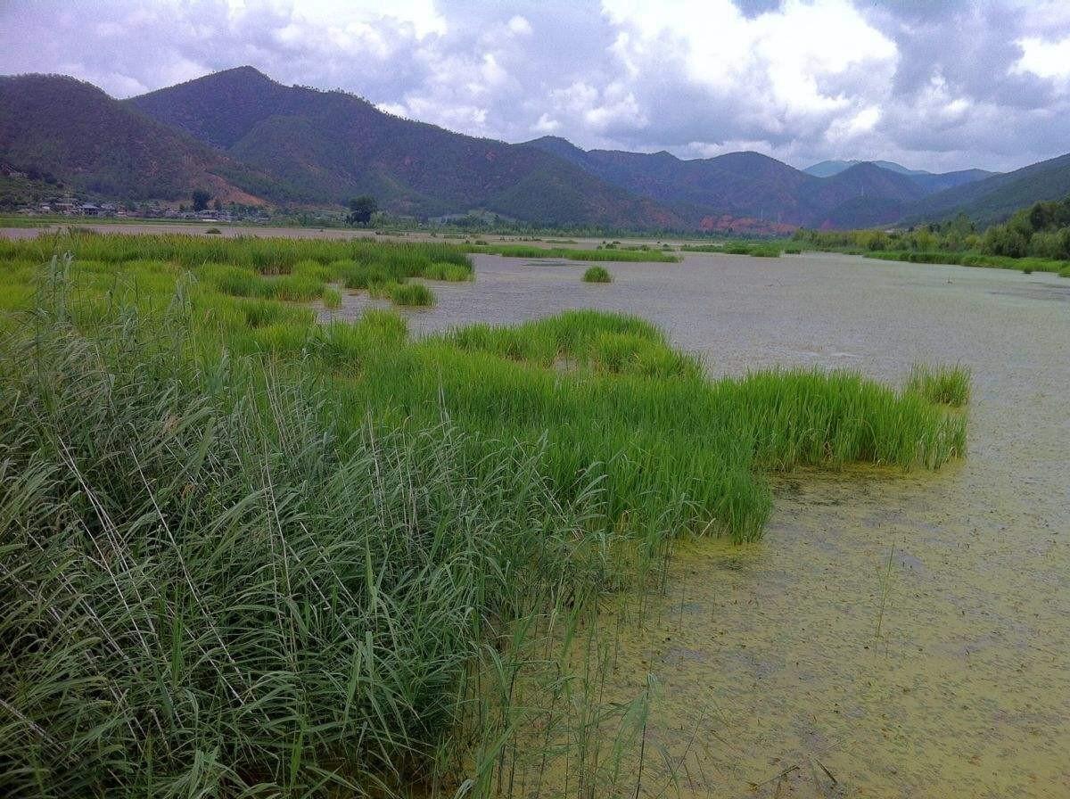 瀘沽湖草海景區(qū)