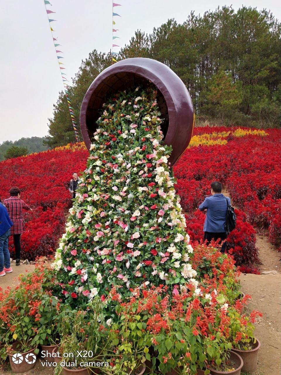 五腦山森林公園