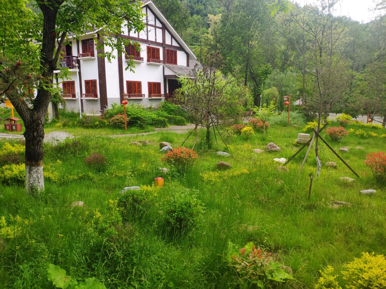 花橋村