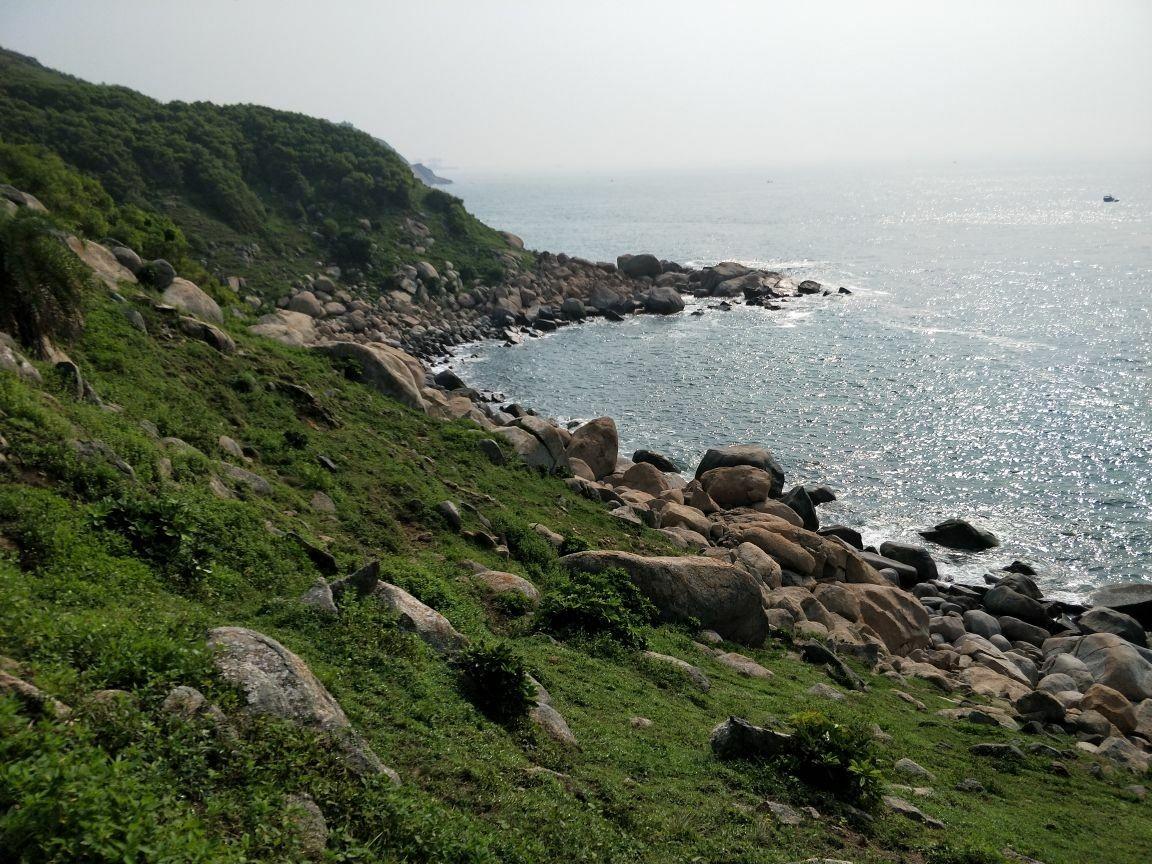 大樹島