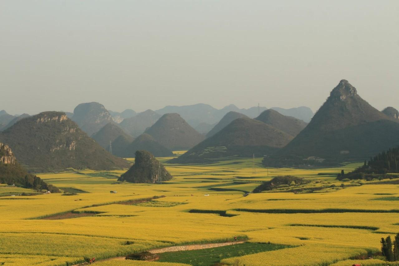 金雞峰叢