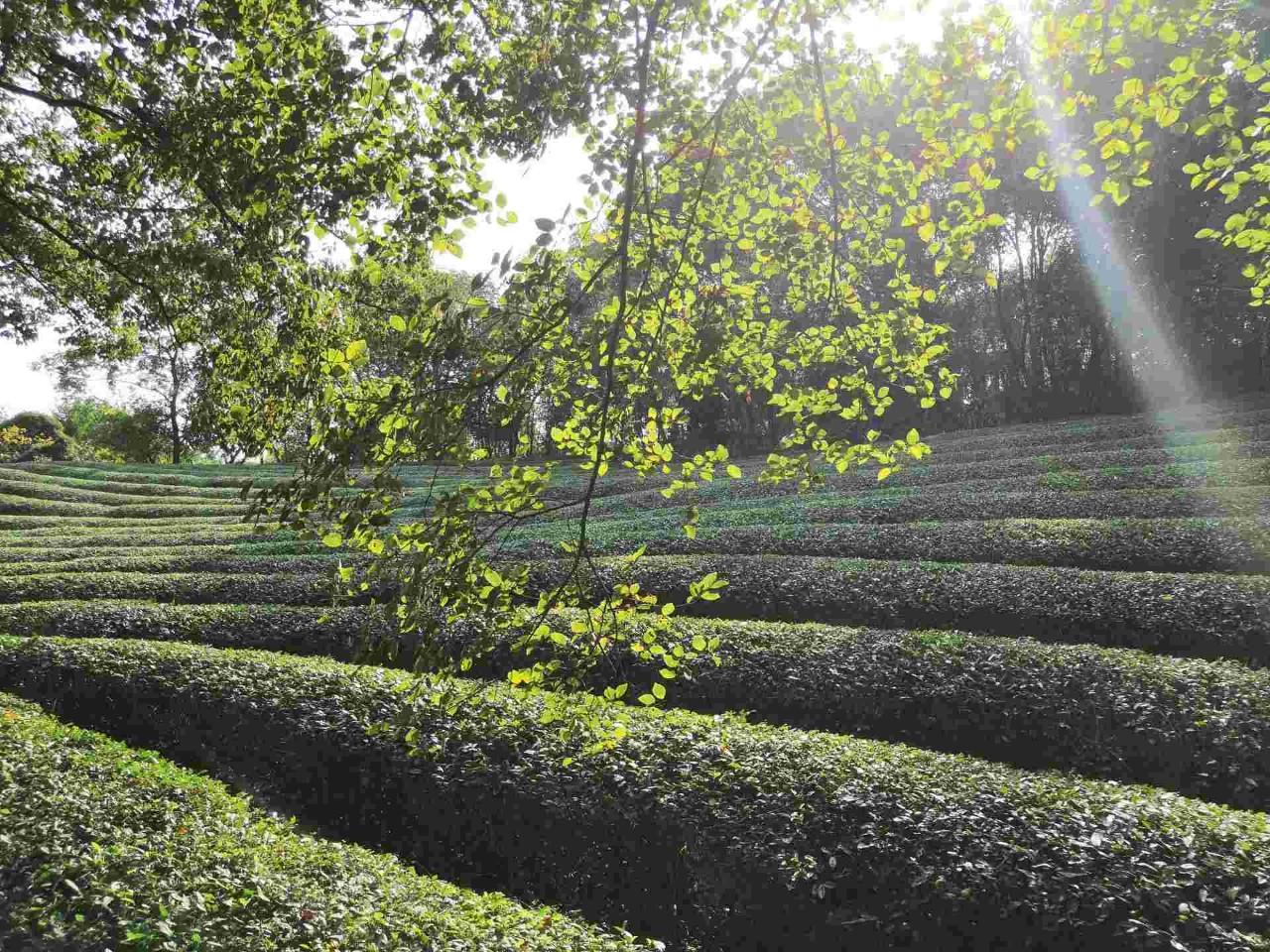 敬亭山风景名胜区