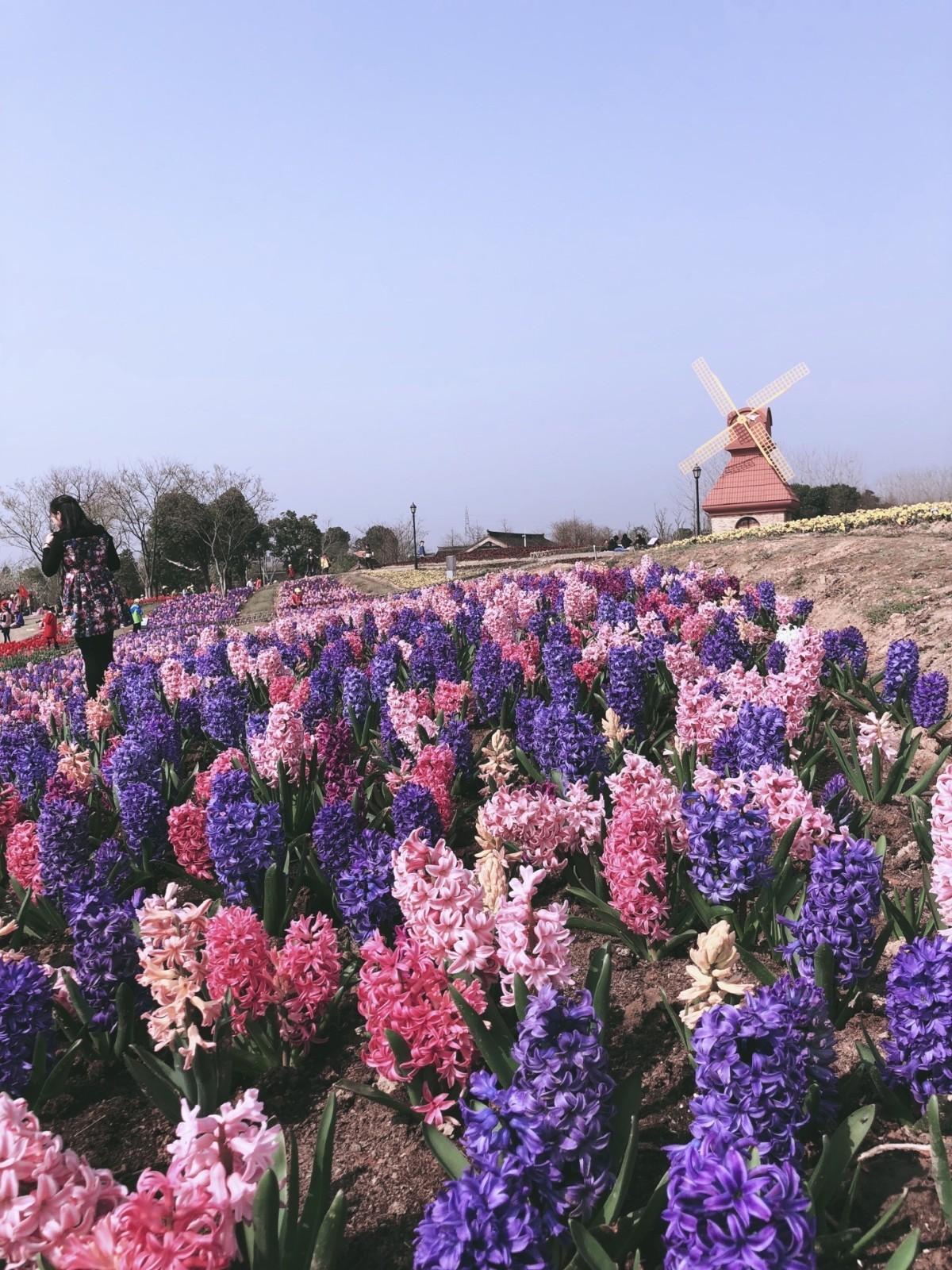 杭州灣濕地公園