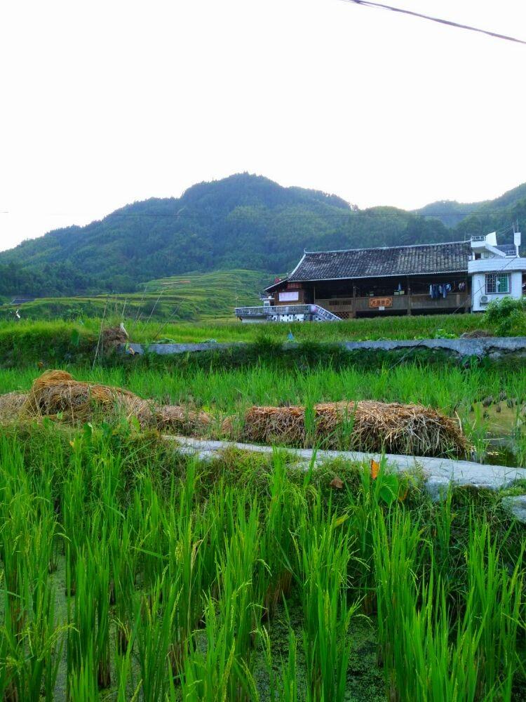 雨卜苗寨