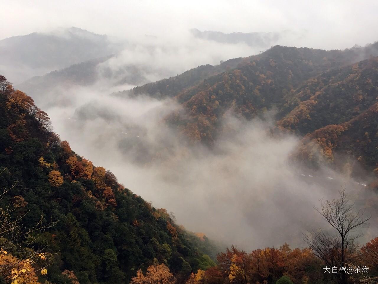 光雾山桃园