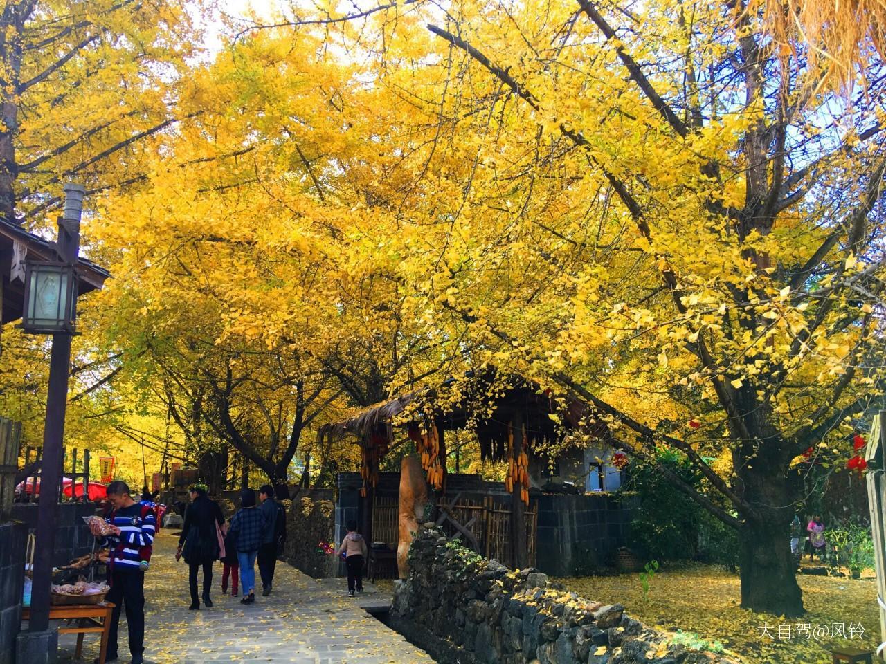 江東古銀杏村