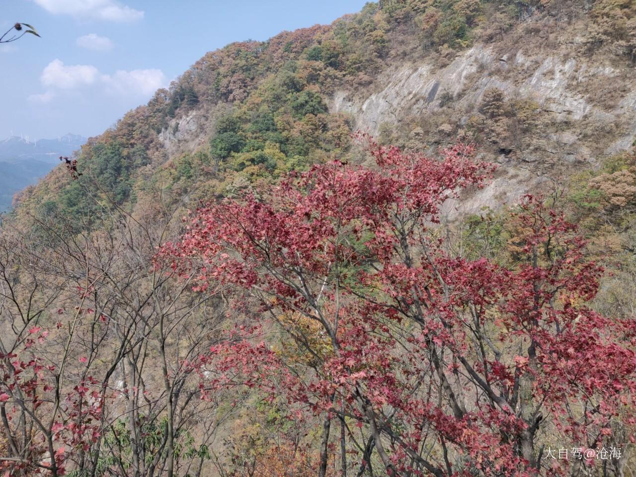 馬鬃嶺