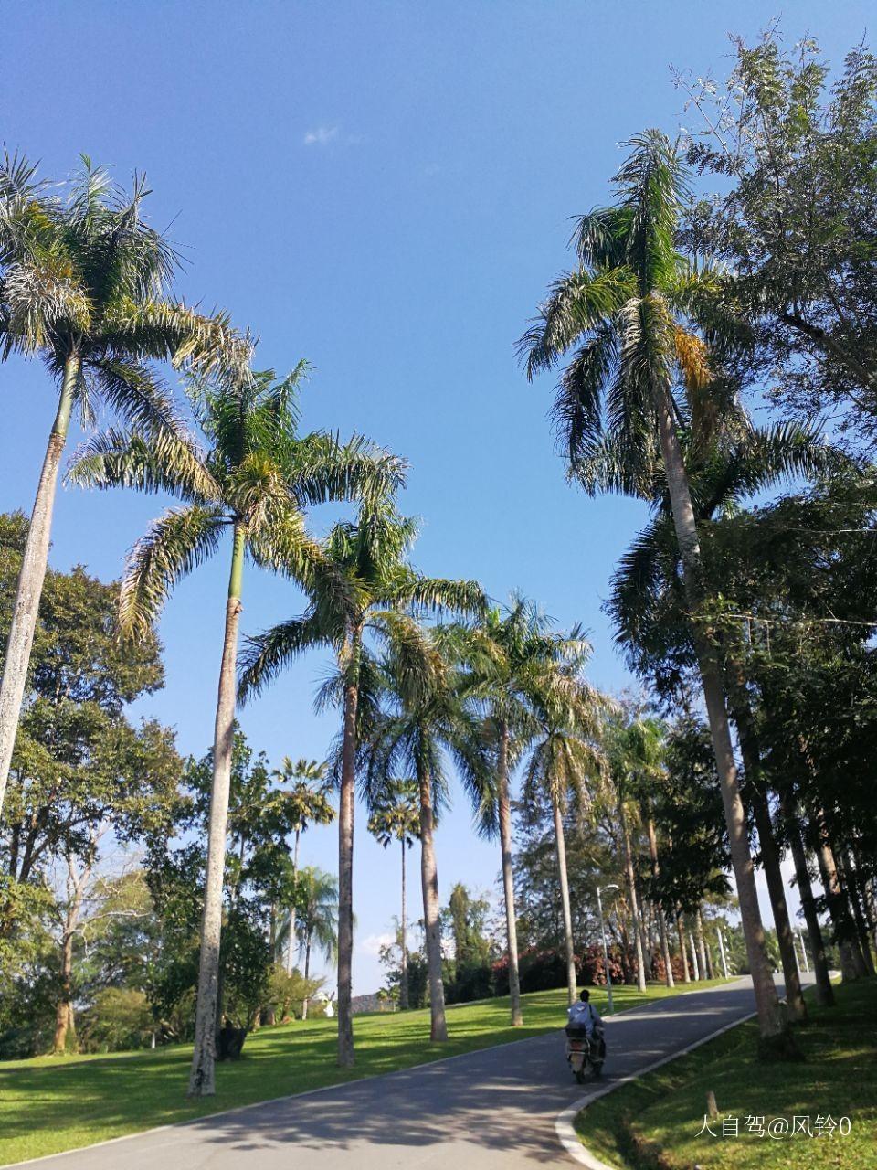 勐侖中科院西雙版納熱帶植物園