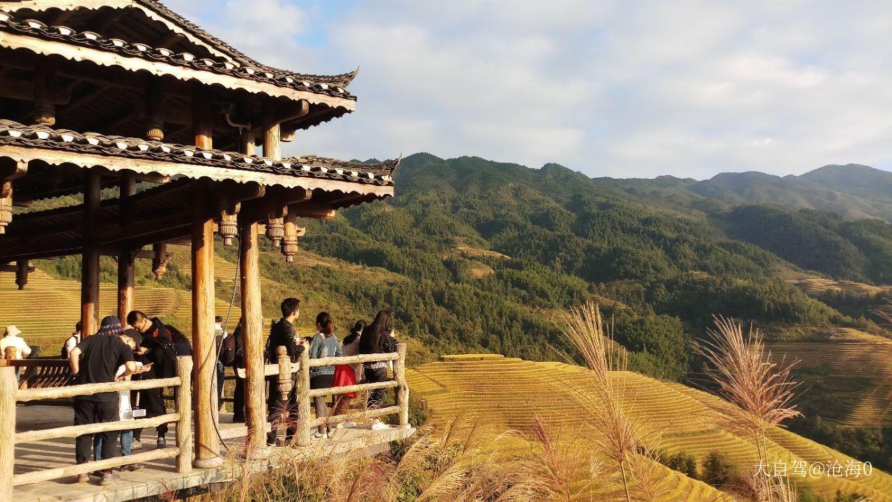 龙脊金坑梯田