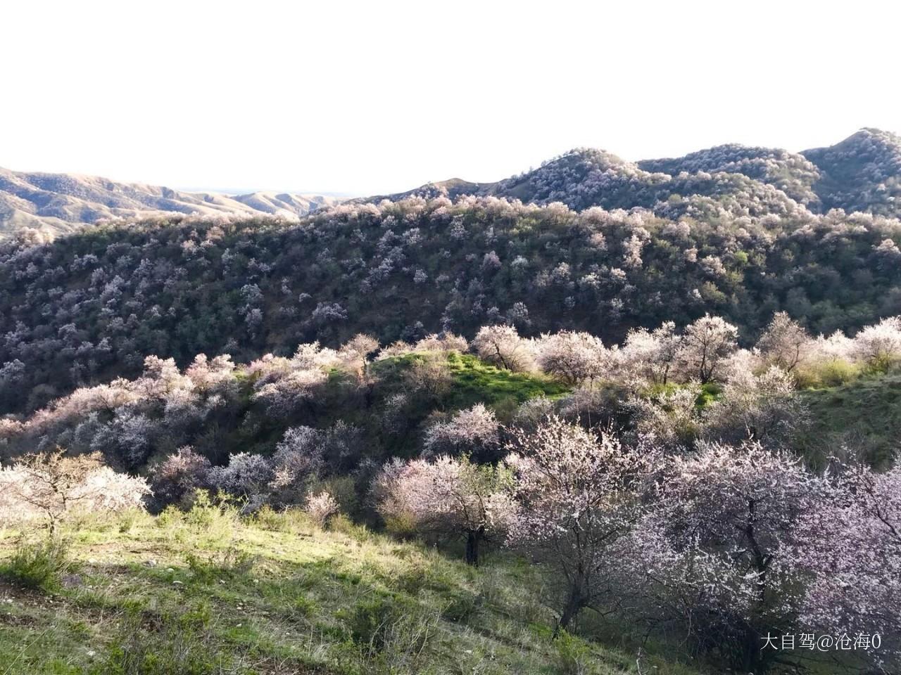 中华福寿山旅游区