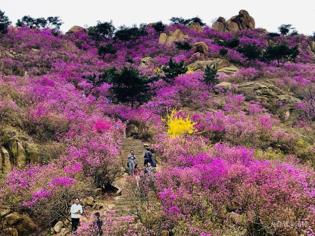 大珠山风景区