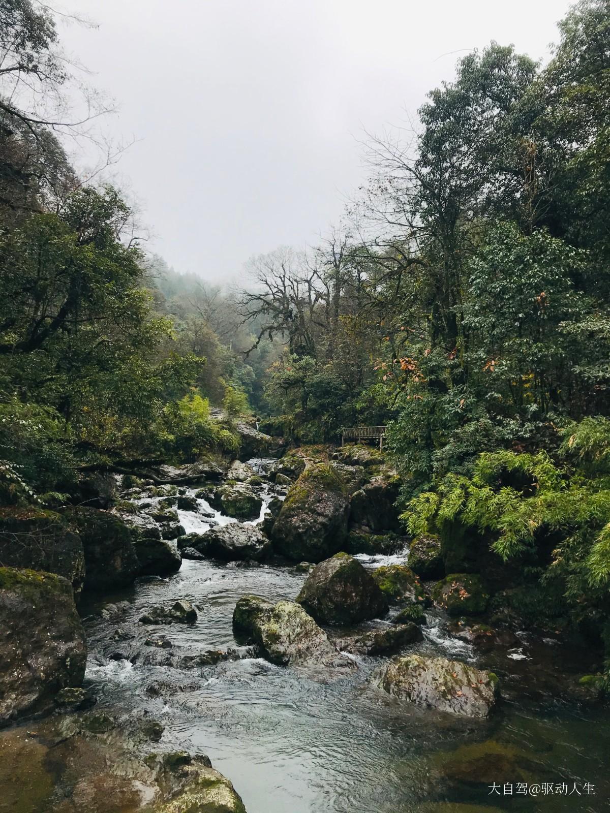 龍蒼溝國(guó)家級(jí)森林公園