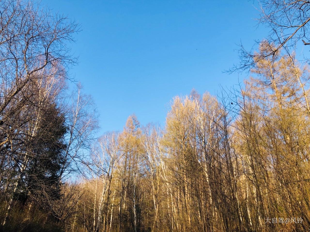 长白山魔界风景区