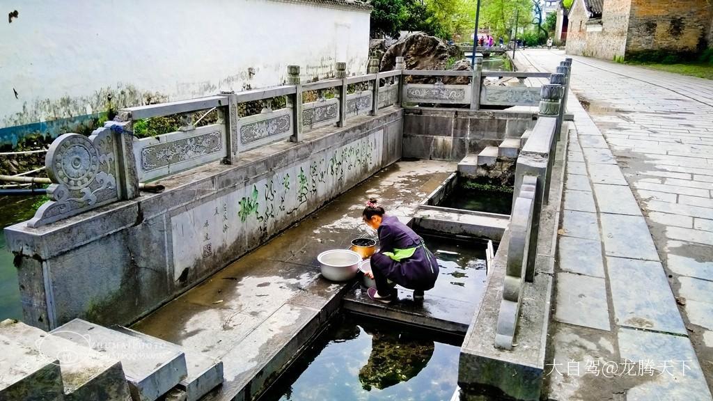 秀水狀元村