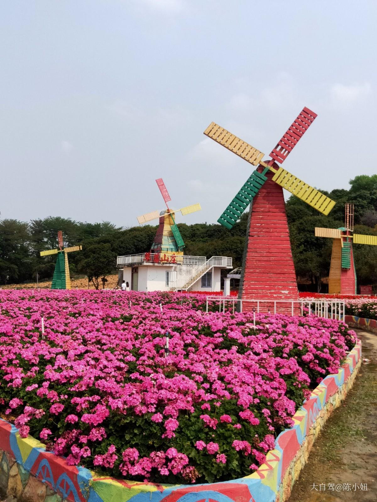 夢幻百花洲主題景區(qū)