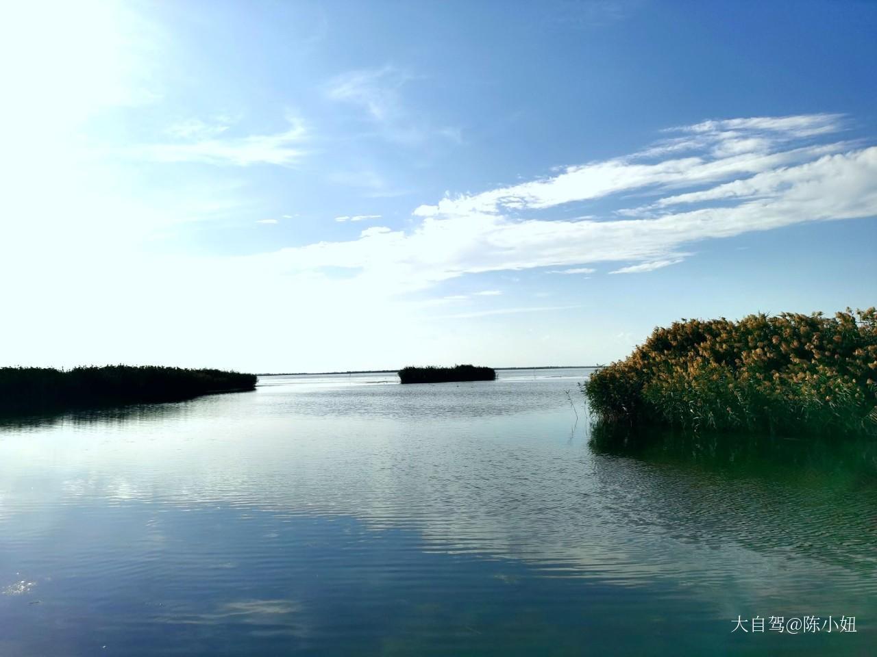 烏梁素海