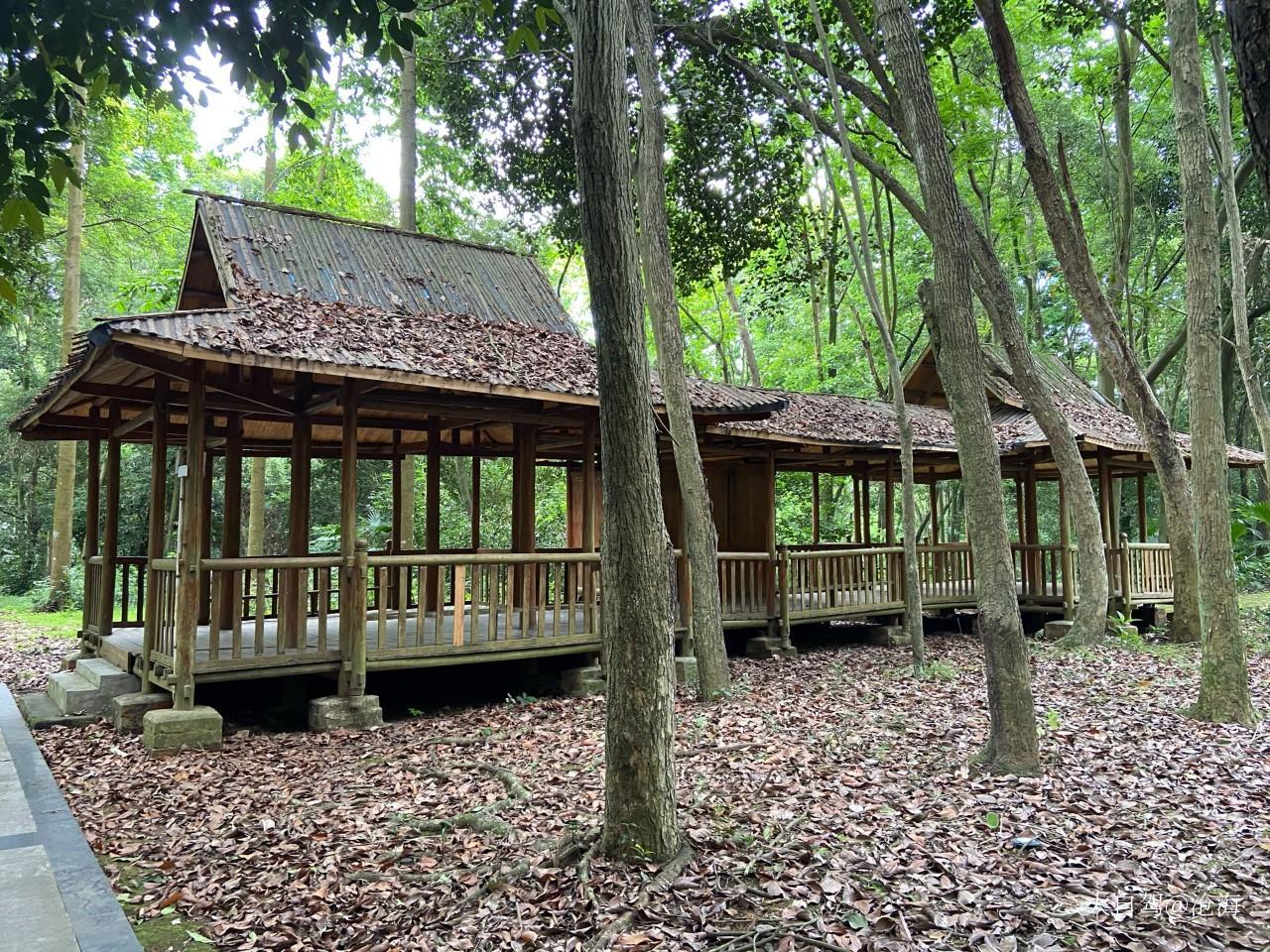 良鳳江國(guó)家森林公園