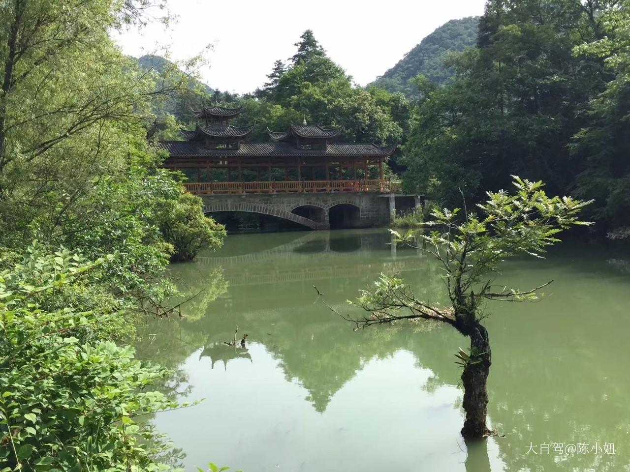 董家河村