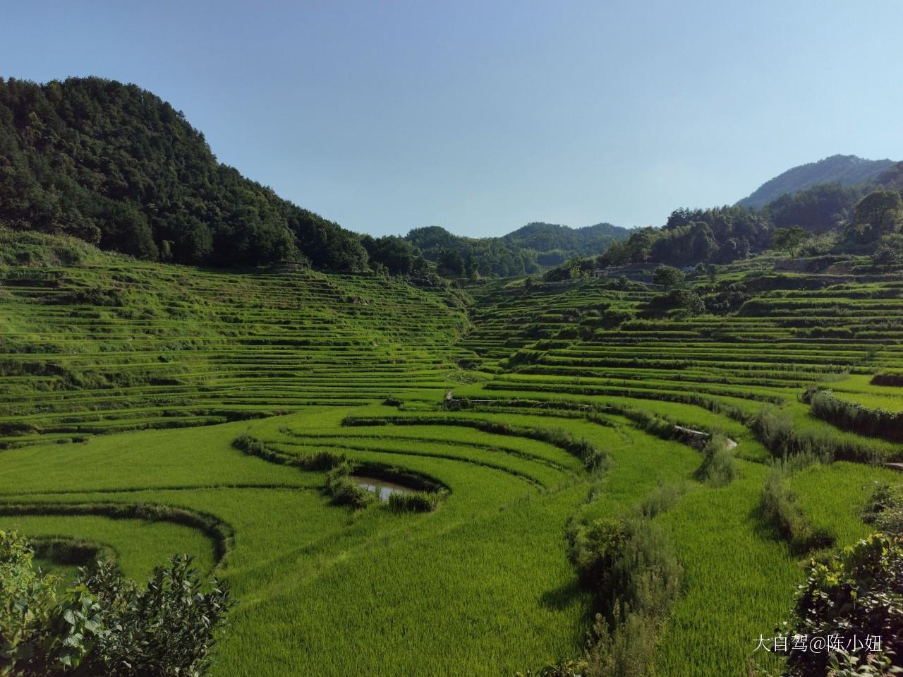 霧云山梯田