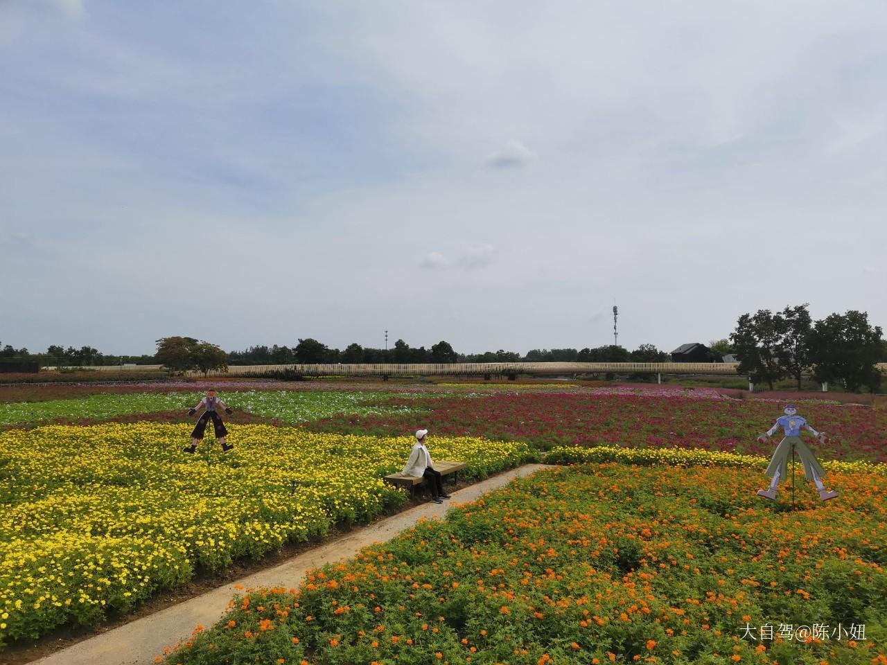 三臺山森林公園