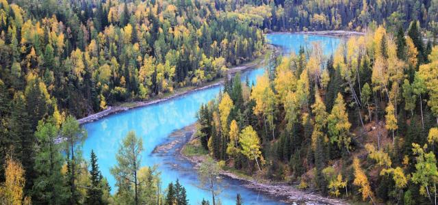 乌市集合新疆北疆9日自驾游：可可托海-喀纳斯-禾木-魔鬼城-赛里木湖9日自驾游
