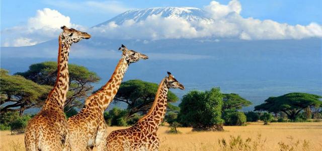 全景东非落地自驾：肯尼亚-东非大裂谷-乞力马扎罗山10日自驾游
