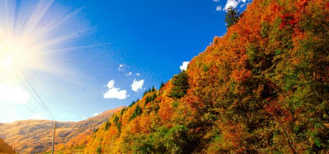 成都周边2日秋季赏红叶自驾游：奶子沟-八十里彩林风情谷-卡龙沟2日自驾游