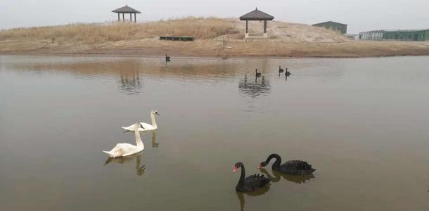 北京出发河北沧州2日自驾游：北塘古镇、洋货街、南大港湿地2日周末游