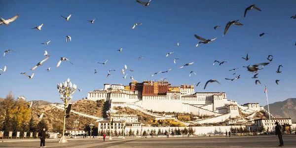 成都出发西藏15日自驾游:稻城亚丁-布达拉宫-茶卡盐湖西藏15日自驾游