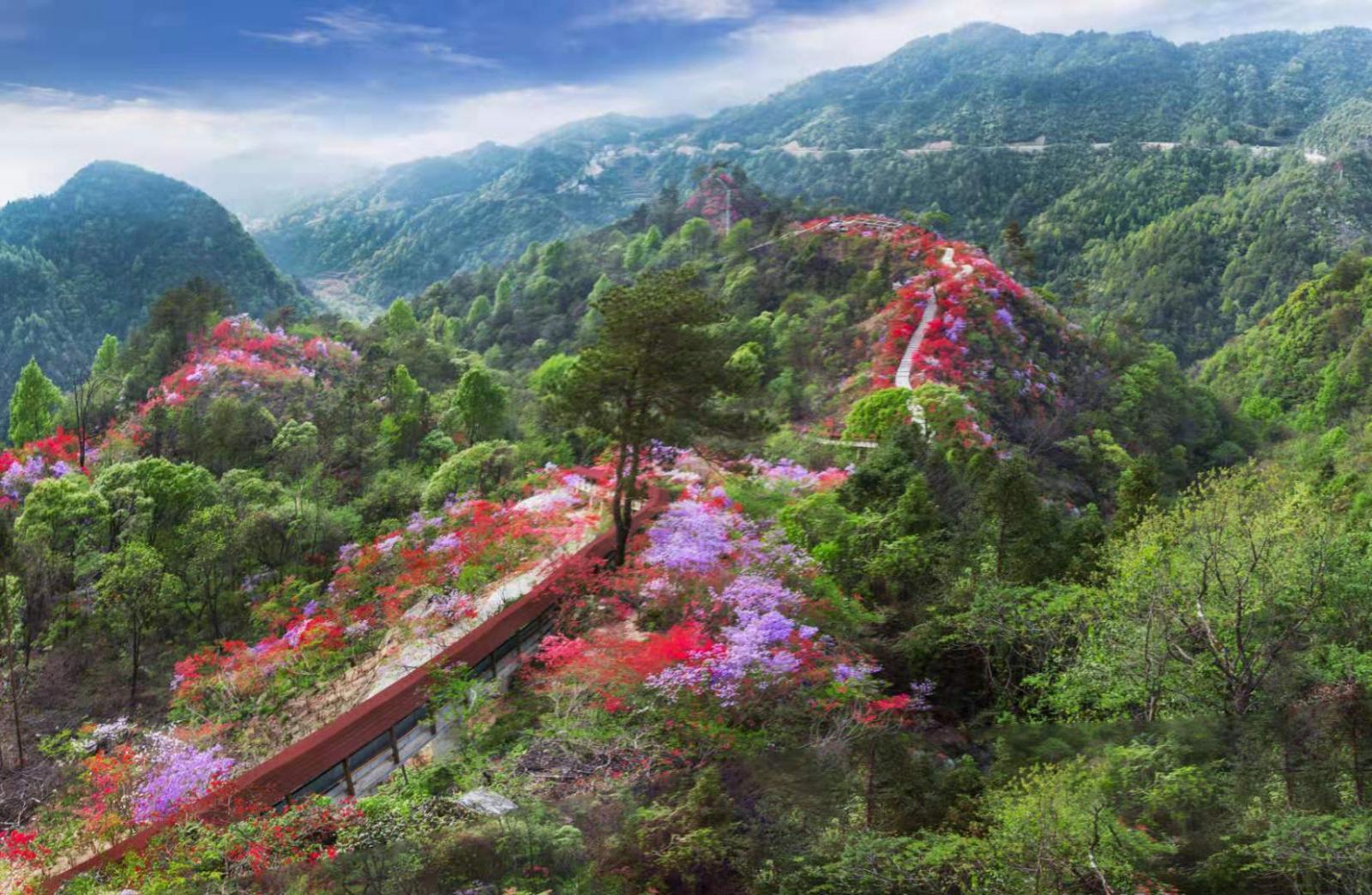 武汉周边岳西天峡：岳西天峡-大别山百里杜鹃-华东第一大峡谷2日自驾游