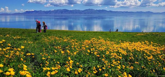 新疆南北疆大环线14日自驾游：喀纳斯+赛里木湖+独库公路+喀拉峻+库车大峡谷美景之旅