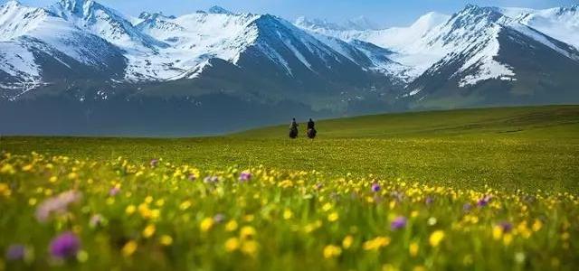 新疆10日北疆-西疆自驾游：喀纳斯+伊犁那拉提+赛里木湖+独库公路+唐布拉百里画廊之旅