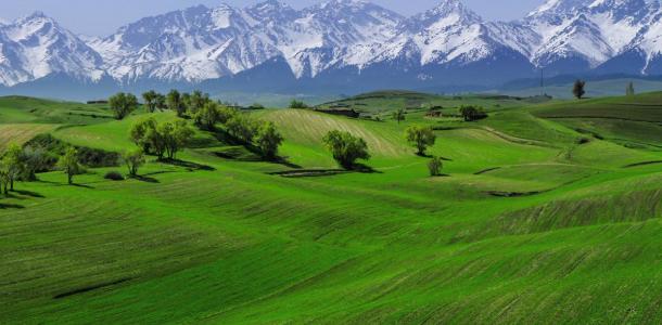 新疆出发6日东疆自驾游：吐鲁番+大海道+江布拉克草原+库木塔格沙漠穿越之旅