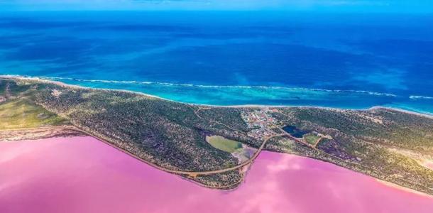 澳大利亚9日落地自驾：天鹅谷-粉红湖-哈梅林湾-卡尔巴里国家公园-鲨鱼湾9日自驾游（含机票）