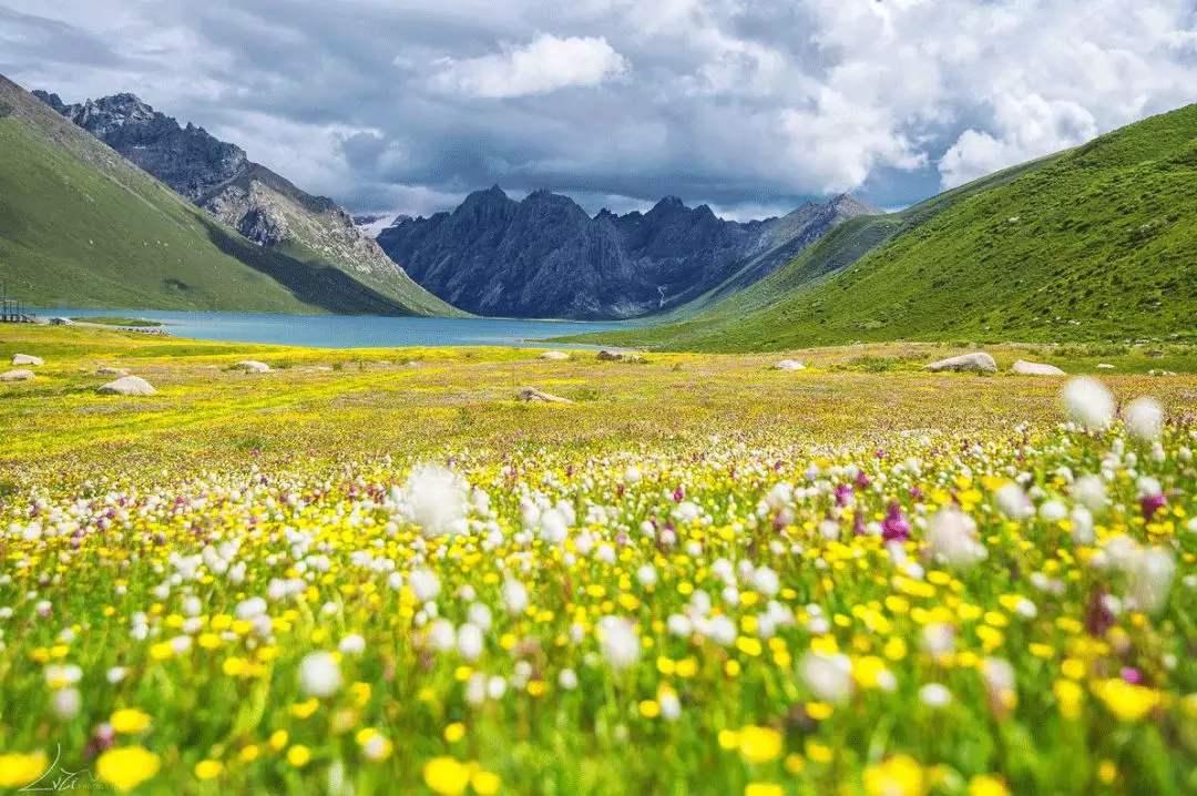 重庆出发川甘青6日自驾游：扎尕那-莲宝叶则-阿万仓湿地-黄河第一弯-羊茸哈德6天川西环线自驾游