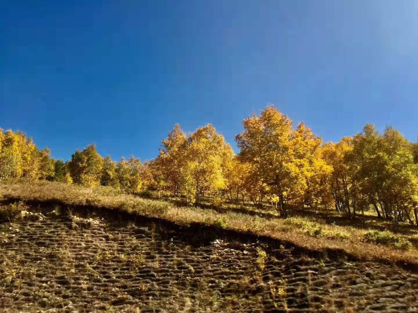 北京出发内蒙5日自驾游：热阿线-达达线-翁根毛都-西拉沐沦5日自驾游