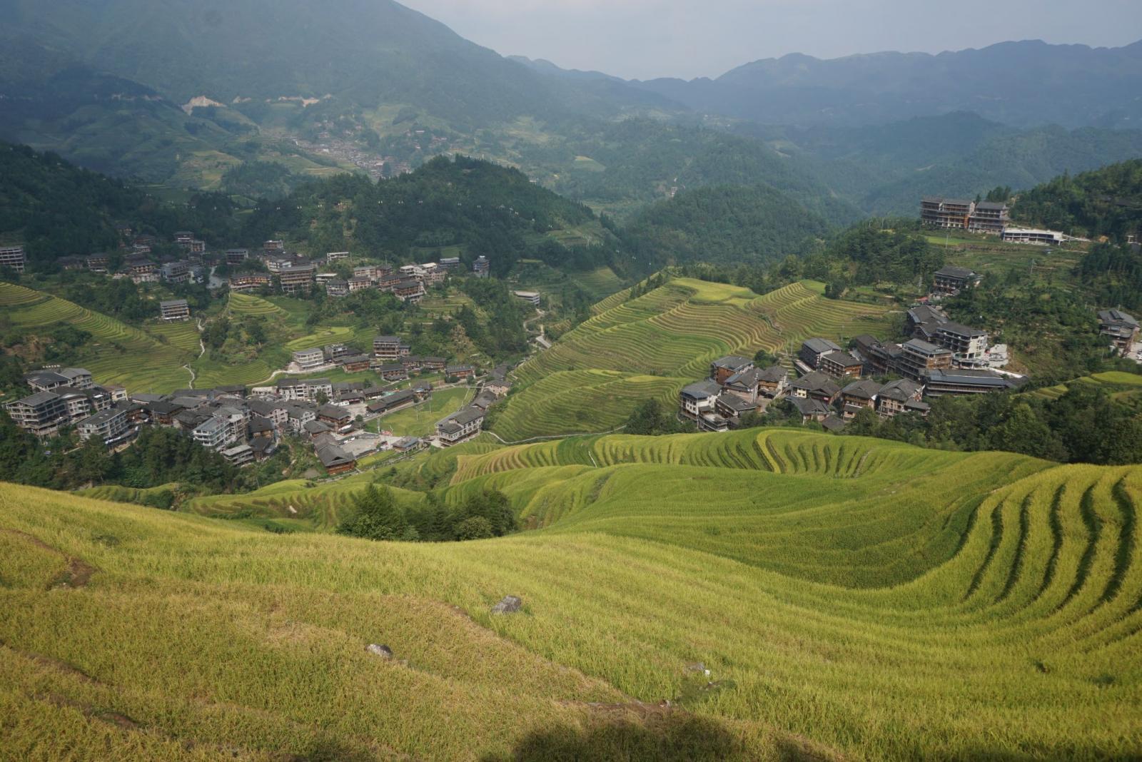 龍脊梯田