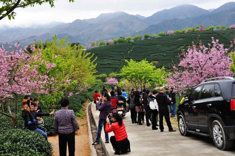 春节假期中国最值得去的15个公路旅行景点 避开人群 赏花 看雪 享受年味