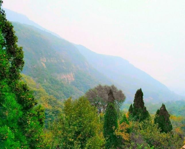 林虑山风景游览区是林州市林虑山一系列景区的总称,包括桃花谷,太行