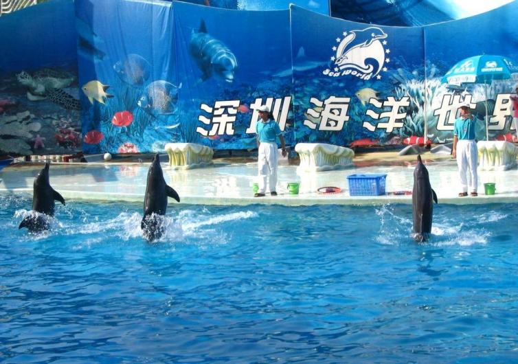 8,深圳欢乐海岸海洋奇梦馆