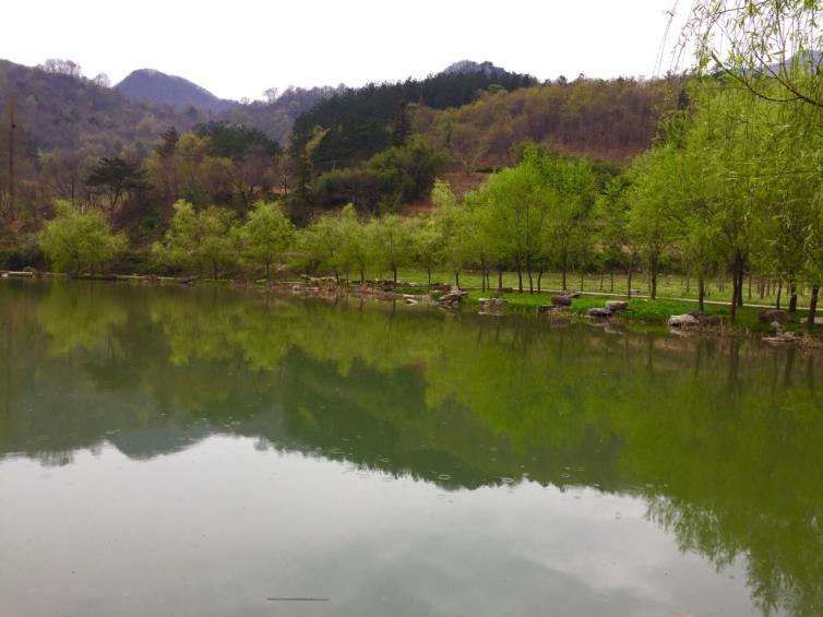 湖北随州周边自驾游最美景点推荐随州这些好去处任你选
