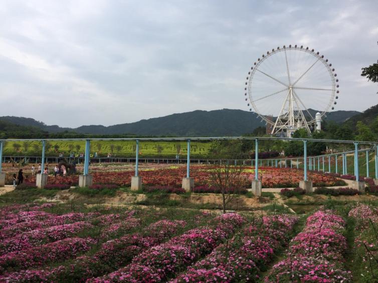 广东望天湖生态旅游度假区位于揭阳市蓝城区白塔镇广和草山望天湖,由