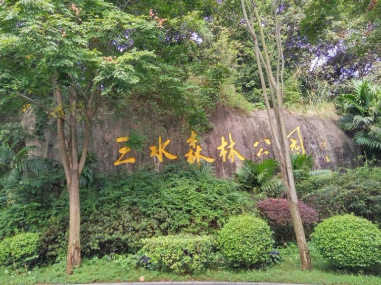 9月佛山周边自驾游好玩景点推荐,适合周末出行的好去处攻略