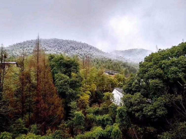 后坞村位于环莫干山国际乡村旅游区内,是莫干山旅游带上重要的节点,是