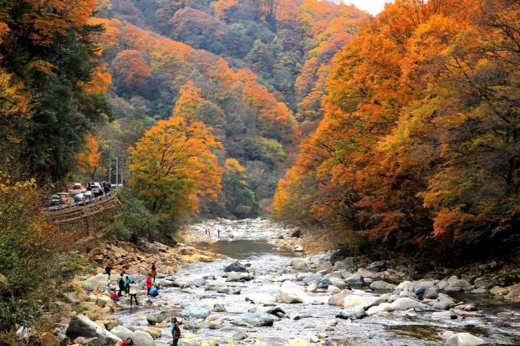 光雾山红叶自驾游各景区介绍/游玩攻略,光雾山红叶自驾游线路推荐(超