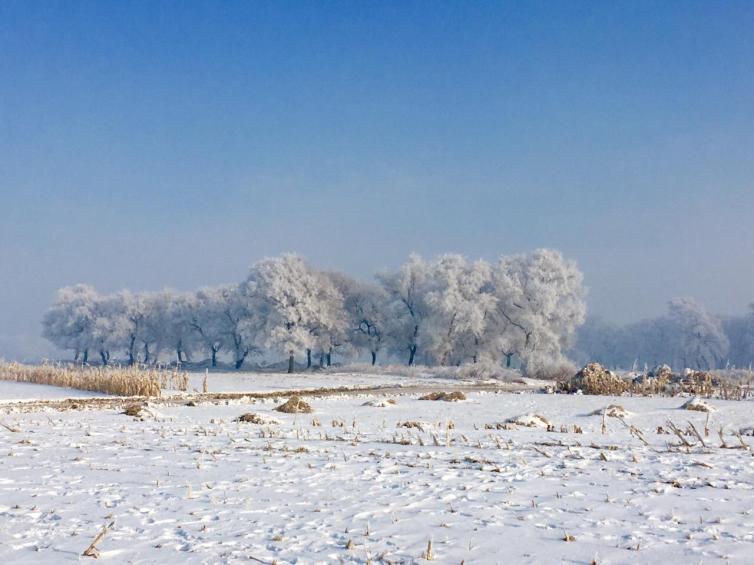 自驾攻略游雪乡路线_自驾攻略游雪乡最佳路线_雪乡自驾游攻略/