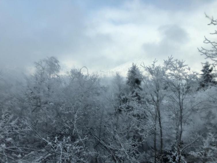 自驾攻略游雪乡路线_自驾攻略游雪乡最佳路线_雪乡自驾游攻略/