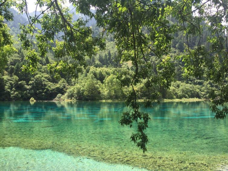 重庆自驾游_自驾重庆游怎么旅游_自驾重庆游记/