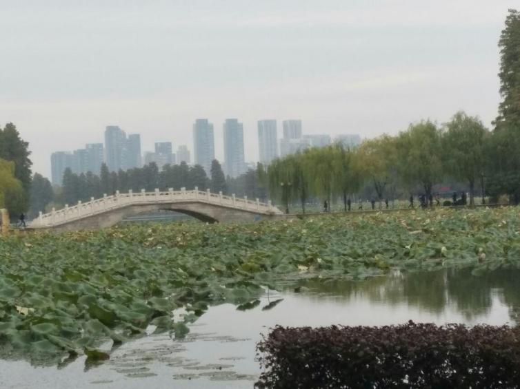 武汉自驾游_去武汉自驾游_自驾武汉旅游攻略/