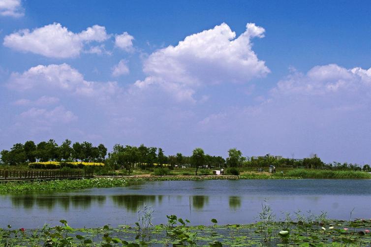 俗称"千顷洼",华北平原第二大淡水湖,位于河北省衡水,冀州,枣强